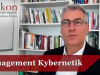 Management Kybernetik
